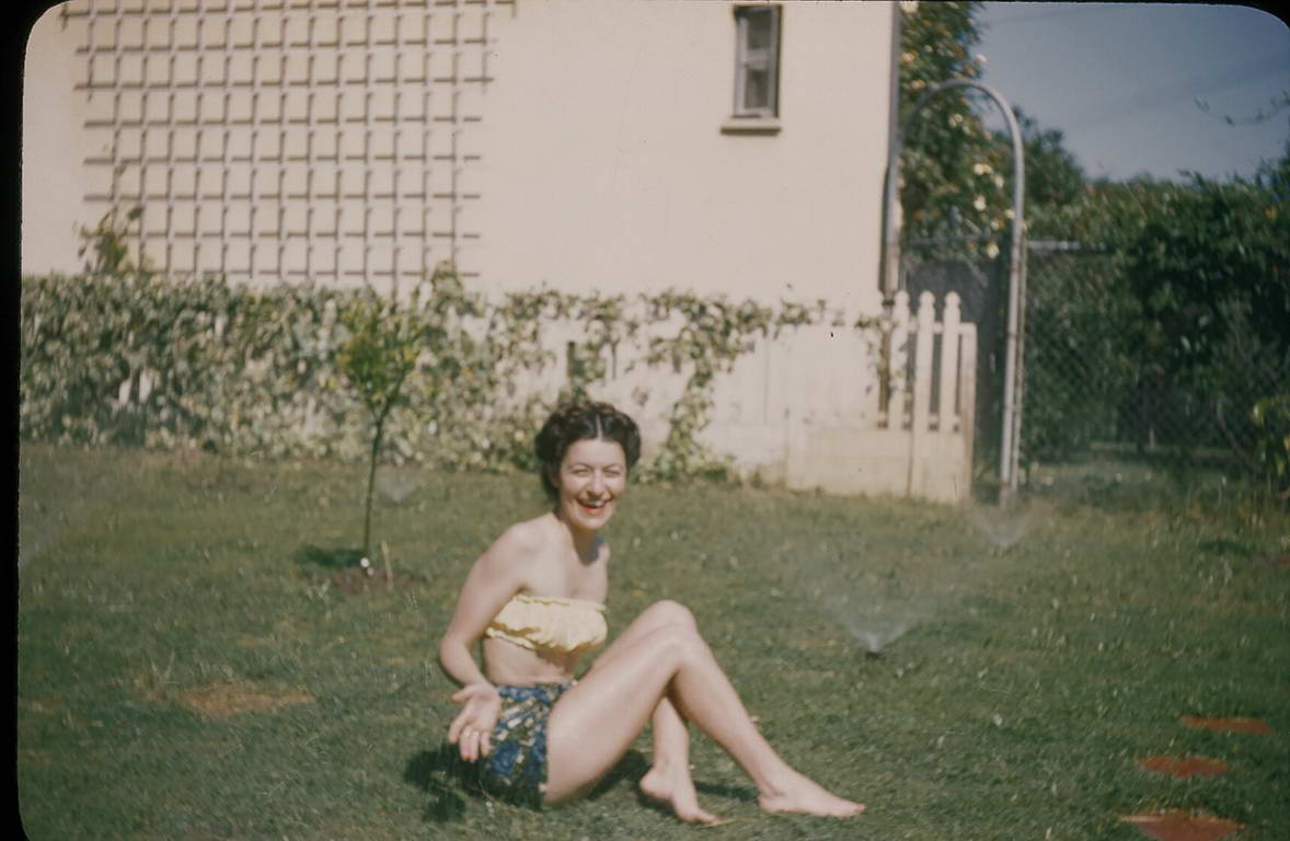 00520092.JPG